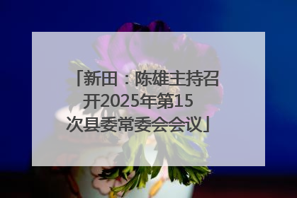 新田：陈雄主持召开2025年第15次县委常委会会议