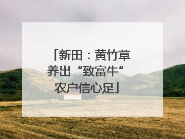 新田：黄竹草养出“致富牛” 农户信心足