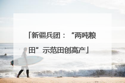 新疆兵团：“两吨粮田”示范田创高产
