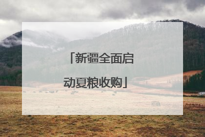 新疆全面启动夏粮收购