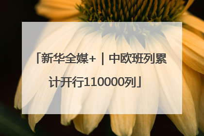 新华全媒+｜中欧班列累计开行110000列