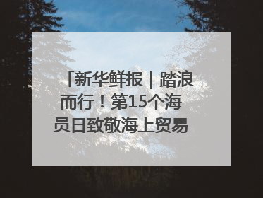新华鲜报｜踏浪而行！第15个海员日致敬海上贸易“守护人”