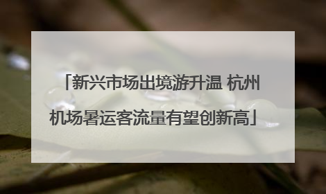 新兴市场出境游升温 杭州机场暑运客流量有望创新高