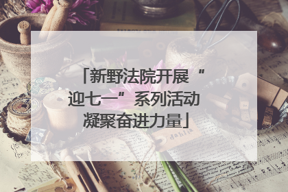 新野法院开展“迎七一”系列活动 凝聚奋进力量