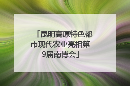 昆明高原特色都市现代农业亮相第9届南博会