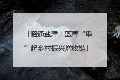 昭通盐津：蓝莓“串”起乡村振兴增收链