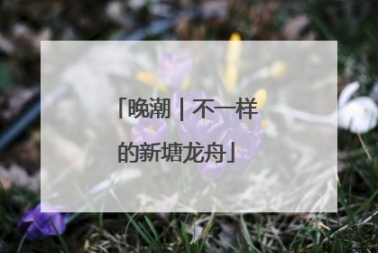 晚潮｜不一样的新塘龙舟