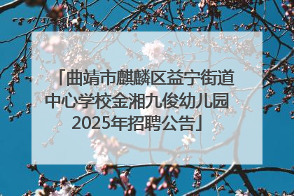 曲靖市麒麟区益宁街道中心学校金湘九俊幼儿园2025年招聘公告
