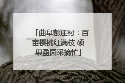 曲阜彭庄村：百亩樱桃红满枝 硕果盈园采摘忙