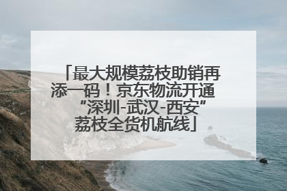 最大规模荔枝助销再添一码！京东物流开通“深圳-武汉-西安” 荔枝全货机航线