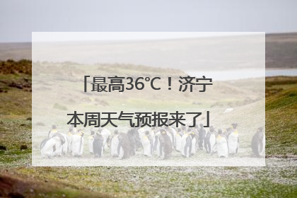 最高36℃！济宁本周天气预报来了