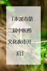本溪市第二届中医药文化夜市开启