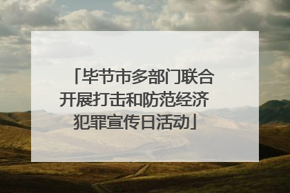 毕节市多部门联合开展打击和防范经济犯罪宣传日活动