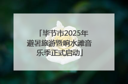 毕节市2025年避暑旅游暨响水滩音乐季正式启动