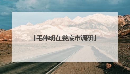 毛伟明在娄底市调研