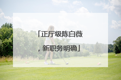 正厅级陈白薇，新职务明确