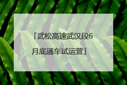 武松高速武汉段6月底通车试运营
