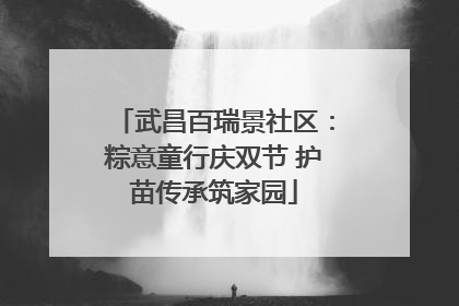 武昌百瑞景社区：粽意童行庆双节 护苗传承筑家园