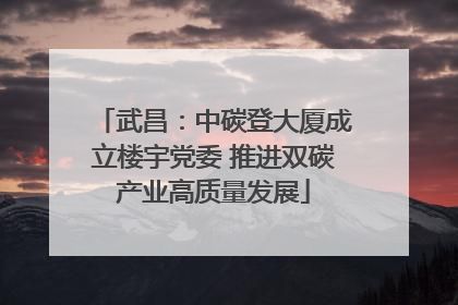 武昌：中碳登大厦成立楼宇党委 推进双碳产业高质量发展