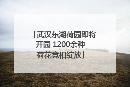 武汉东湖荷园即将开园 1200余种荷花竞相绽放