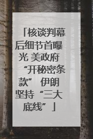 核谈判幕后细节首曝光 美政府“开秘密条款” 伊朗坚持“三大底线”