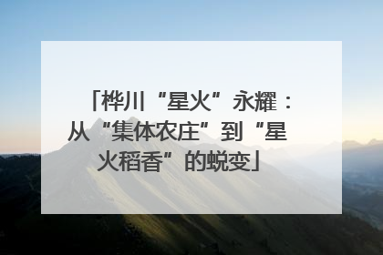 桦川“星火”永耀：从“集体农庄”到“星火稻香”的蜕变