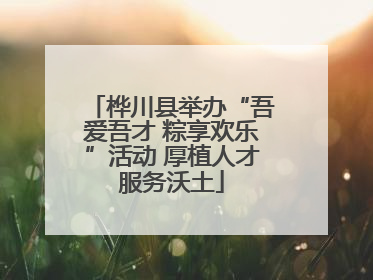 桦川县举办“吾爱吾才 粽享欢乐”活动 厚植人才服务沃土