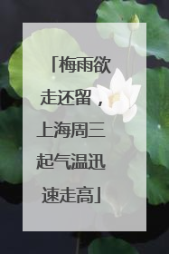 梅雨欲走还留，上海周三起气温迅速走高