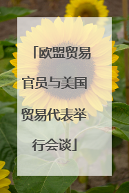 欧盟贸易官员与美国贸易代表举行会谈
