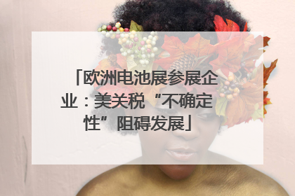 欧洲电池展参展企业：美关税“不确定性”阻碍发展