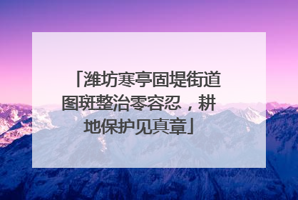 潍坊寒亭固堤街道图斑整治零容忍，耕地保护见真章