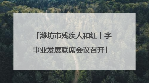 潍坊市残疾人和红十字事业发展联席会议召开