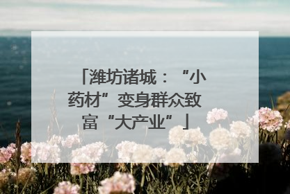 潍坊诸城：“小药材”变身群众致富“大产业”