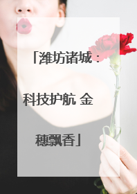 潍坊诸城：科技护航 金穗飘香