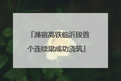 潍宿高铁临沂段首个连续梁成功浇筑