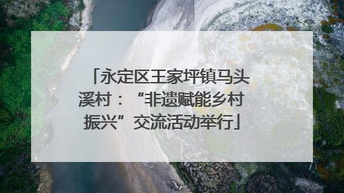 永定区王家坪镇马头溪村：“非遗赋能乡村振兴”交流活动举行