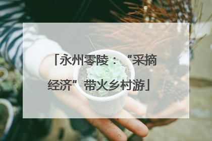永州零陵：“采摘经济”带火乡村游