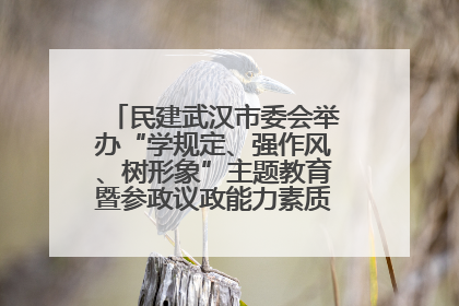 民建武汉市委会举办“学规定、强作风、树形象”主题教育暨参政议政能力素质提升培训班