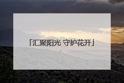 汇聚阳光 守护花开