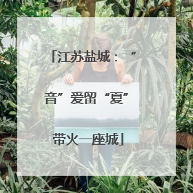 江苏盐城：“音”爱留“夏” 带火一座城