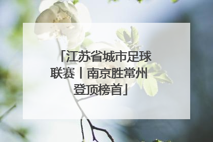 江苏省城市足球联赛丨南京胜常州 登顶榜首