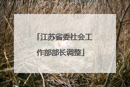 江苏省委社会工作部部长调整