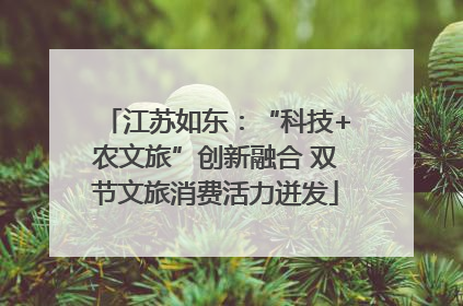 江苏如东：“科技+农文旅”创新融合 双节文旅消费活力迸发