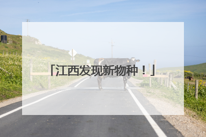 江西发现新物种！