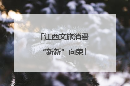 江西文旅消费“新新”向荣