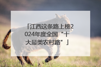 江西这条路上榜2024年度全国“十大最美农村路”