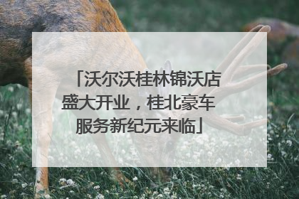 沃尔沃桂林锦沃店盛大开业，桂北豪车服务新纪元来临