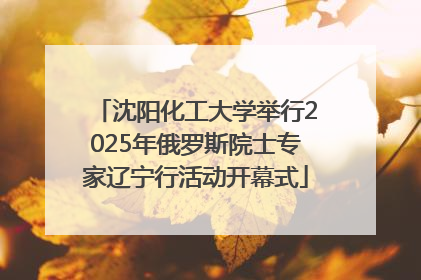 沈阳化工大学举行2025年俄罗斯院士专家辽宁行活动开幕式