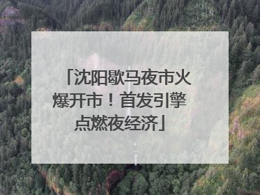沈阳歇马夜市火爆开市！首发引擎点燃夜经济