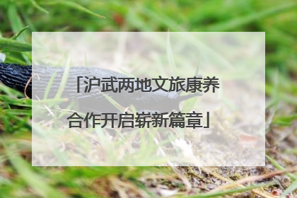 沪武两地文旅康养合作开启崭新篇章